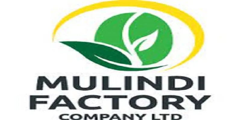 Assistant Marketing Manager at Mulindi Factory Company Limited: (Deadline 17 February 2026)