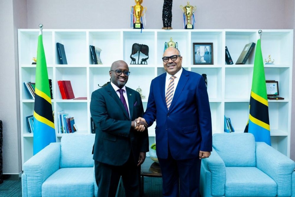 Rwanda, Tanzania build on growing ties as ministers discuss next phase of cooperation