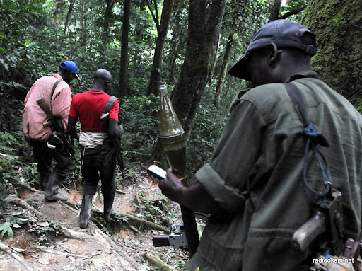 ICG urges DRC to implement FDLR disarmament protocol